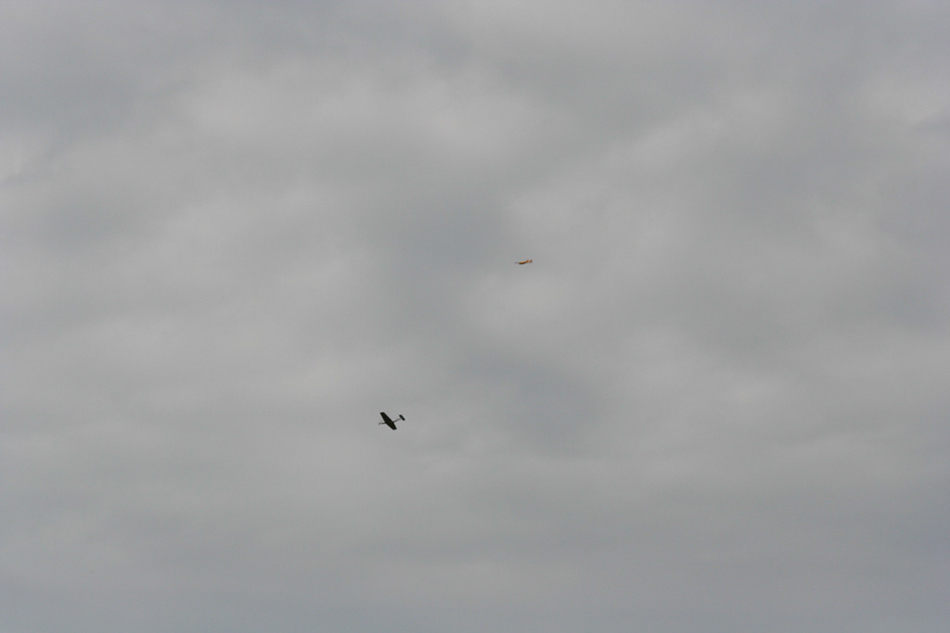 %_tempFileNameIMG_7212%