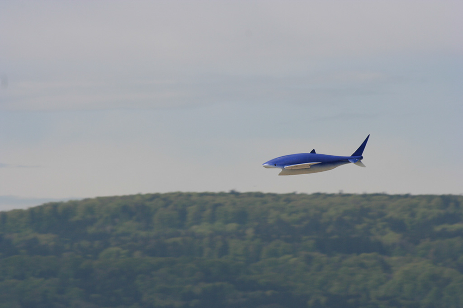 %_tempFileNameIMG_5903%