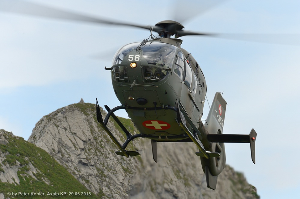 comp_150629_Axalp_Bergfrühling 262-